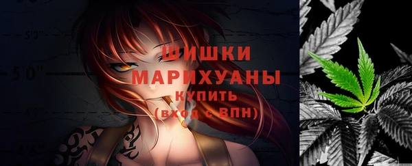 твердый Каменка