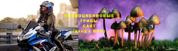 эйфоретик Каменногорск