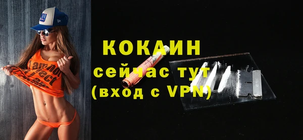 твердый Каменка