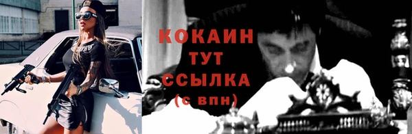 твердый Каменка
