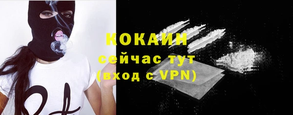 твердый Каменка