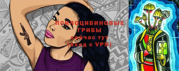 эйфоретик Каменногорск