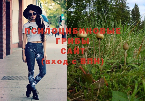 эйфоретик Каменногорск