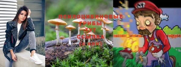 эйфоретик Каменногорск