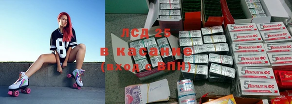 эйфоретик Каменногорск