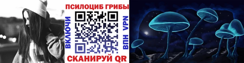 Купить где  Шадринск  Галлюциногенные грибы GOLDEN TEACHER 